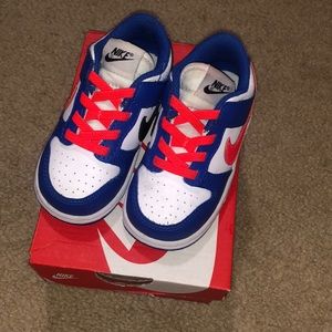 Toddler Nike Dunks